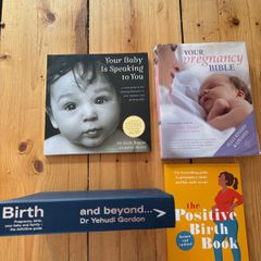 Pregnancy and birthing book bundle