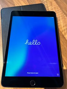 iPad Mini 5 (256GB)