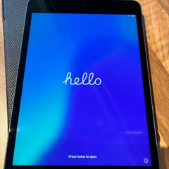 iPad Mini 5 (256GB)