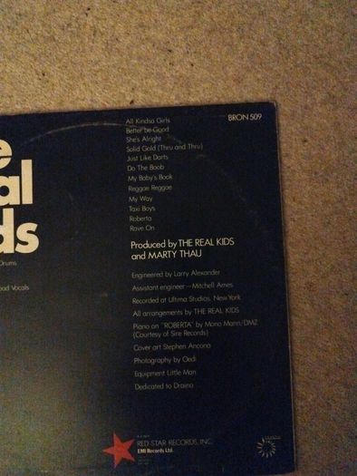 The Real kids lp