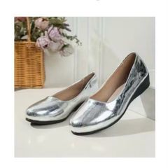 Brand new Low Silver Wedge. Size 6.5