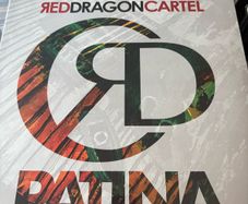 Red Dragon Cartel Vinyl LP Patina Jake E. Lee Hair Metal Hard Rock