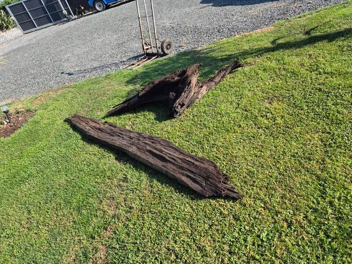 Ancient Bog Oak from Co.Kildare Bog