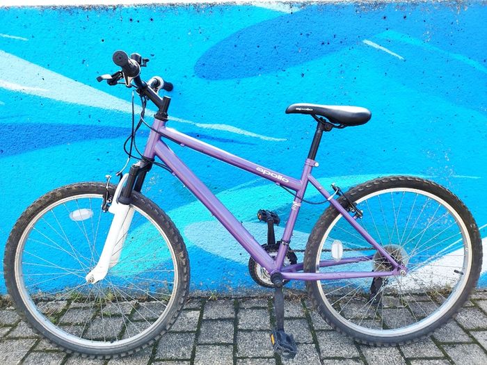 Apollo Mountain Bike