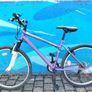 Apollo Mountain Bike Image 6