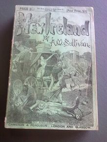New Ireland by A. M. Sullivan Irish history 30 years of Irish public life