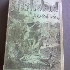 New Ireland by A. M. Sullivan Irish history 30 years of Irish public life