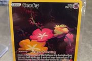 Crown Zenith Comfey GG14