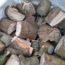 logs Image 3