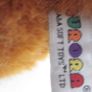 Aurora Plush Fox Stuffed Animal Image 7