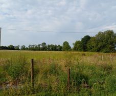 Rent  for hay or silage stil available