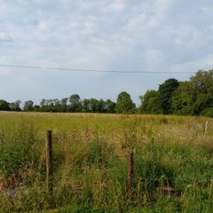 Rent  for hay or silage stil available