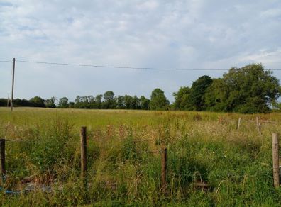 Rent  for hay or silage stil available