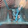 Small fish tank with all bits Image 2