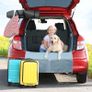 Universal Protector Mat for Cars, SUVs , Trucks 184 x 105 x 38cm, Grey Image 8