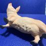 Leonardo Pig Figure Image 5