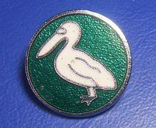 Northern Ireland Blood Transfusion Service (NIBTS) - blood donor pelican badge (1960's / 1970's)