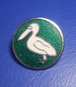 Northern Ireland Blood Transfusion Service (NIBTS) - blood donor pelican badge (1960's / 1970's)