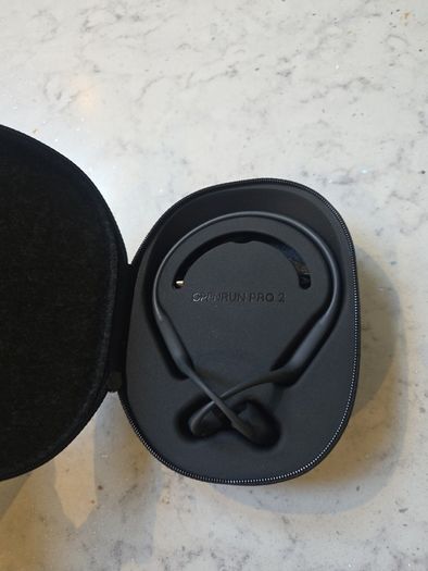 Ear buds
