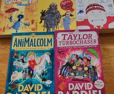 Boys book bundle