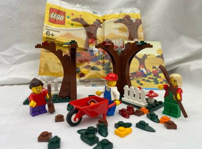 Lego Autumn Scene 40057