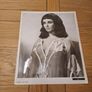 Rare 1963 Cleopatra Press Sheet & Press Kit Photo Elizabeth Taylor Image 3
