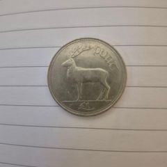 1996 Punt