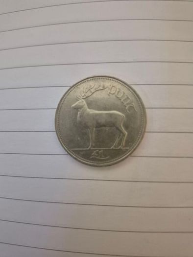 1996 Punt