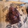 2 miniature Buddha Image 4