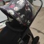Buggy Image 2
