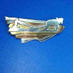 brooch