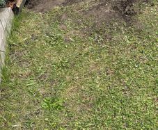 soil