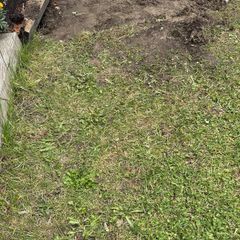 soil
