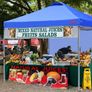 Durable Ez Pop-up Gazebo Tent with 1 Sidewall(2x2M,Blue) Image 4