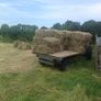 Small Square Hay Bales For Sale 3 euro each Image 2