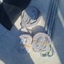 Rachet Tie down straps and pegs Tent Image 4