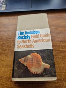 The Audubon Society Field Guide to North American Seashells