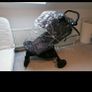 Baby Jogger City Mini GT2 Image 3
