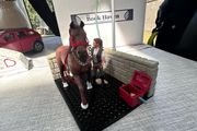 Schleich horse wash bay