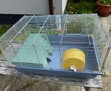 Hamster cage