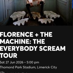2 x Florence & the machine limerick