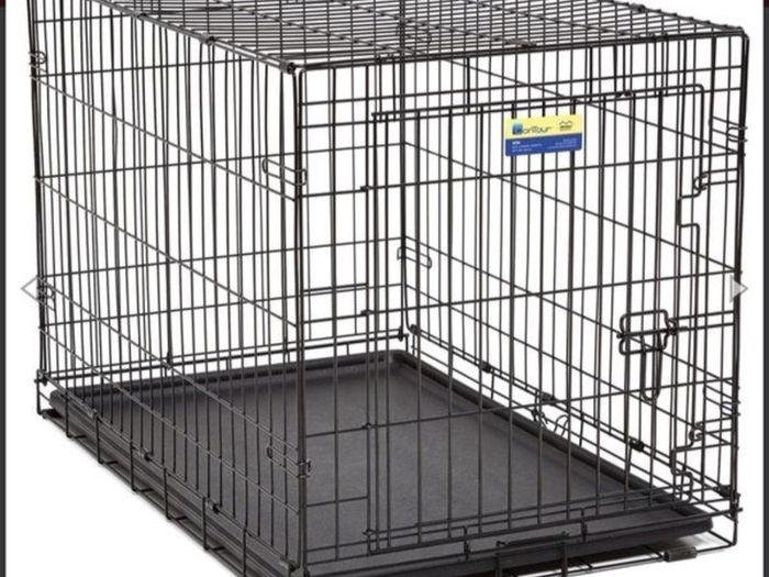 dog crate