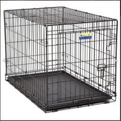 dog crate