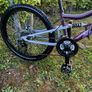 Apollo Craze (fully Serviced Like New ) Image 3