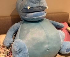 Giant Teddy