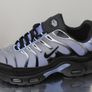 trainer's Image 2