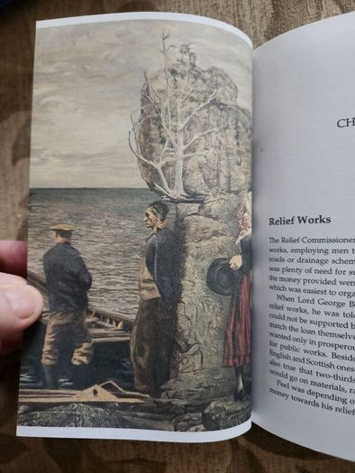 The Irish Famine. An Illustrated History By Helen Litton. First Edition Paperback In Good Condition.