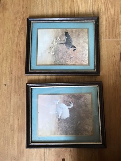 pictures