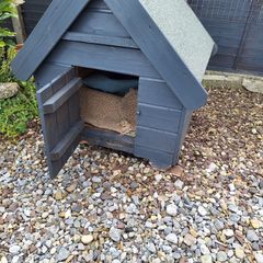 Dog Box