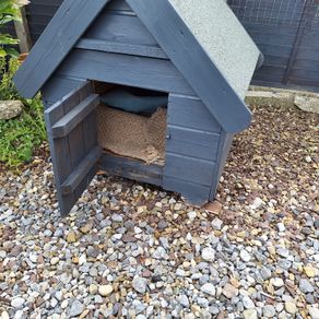 Dog Box